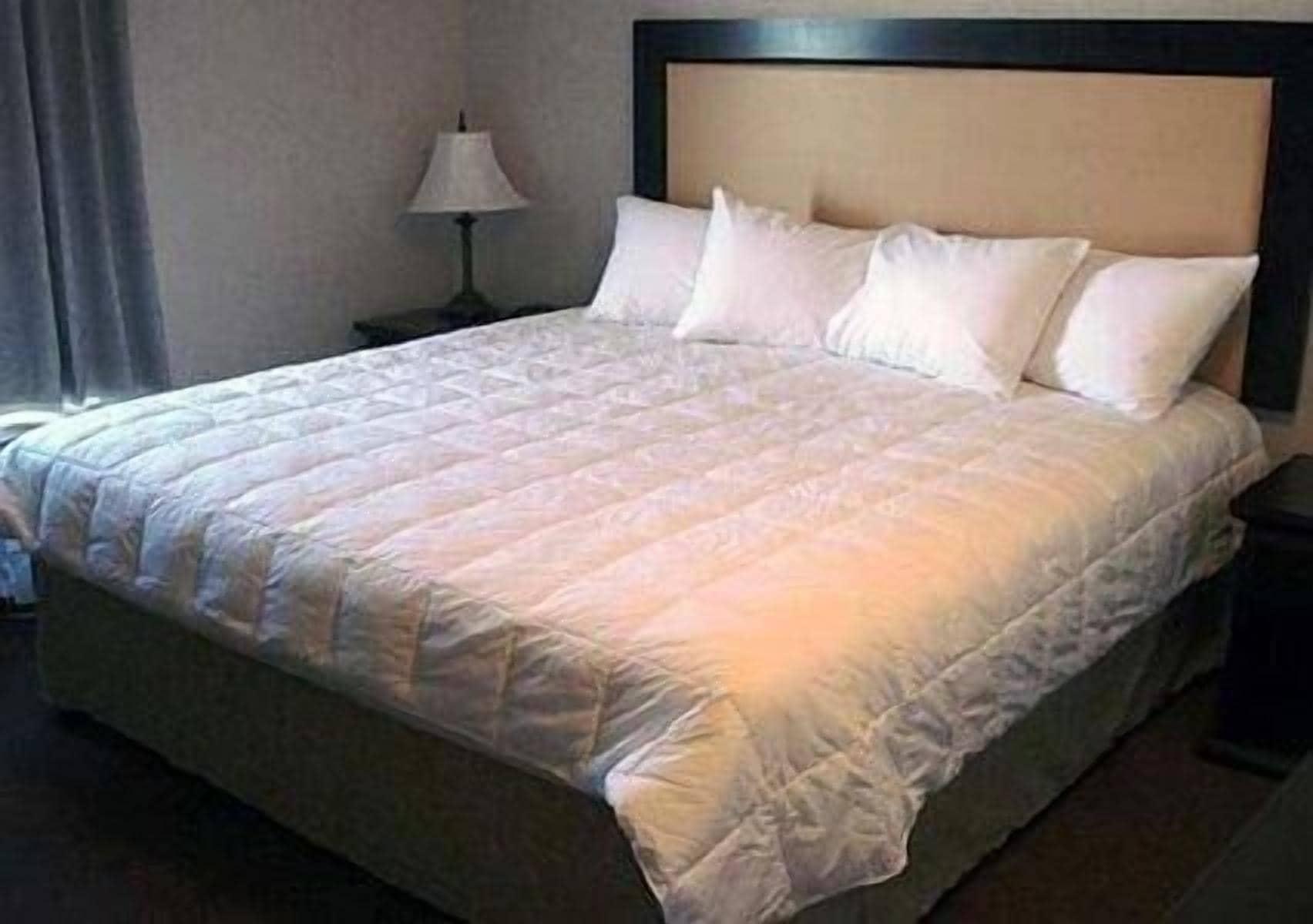 Quality Inn&Suites Lethbridge Extérieur photo